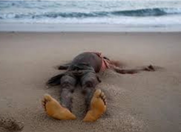 Découverte macabre d’un corps sur la plage de Thiaroye sur mer …