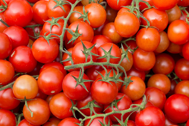 La tomate, un aliment anti-cancer