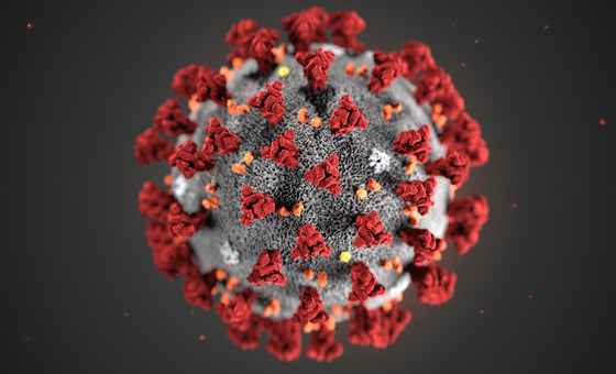 Covid19 :Une seule dose de vaccin stimule l’immunité contre certains variants du SARS-CoV-2 chez des personnes ayant déjà été infectées