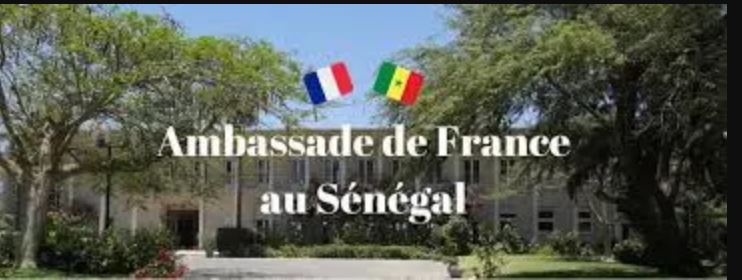 Guy Marius Sagna: L’ambassade de France au Sénégal arnaque les africains