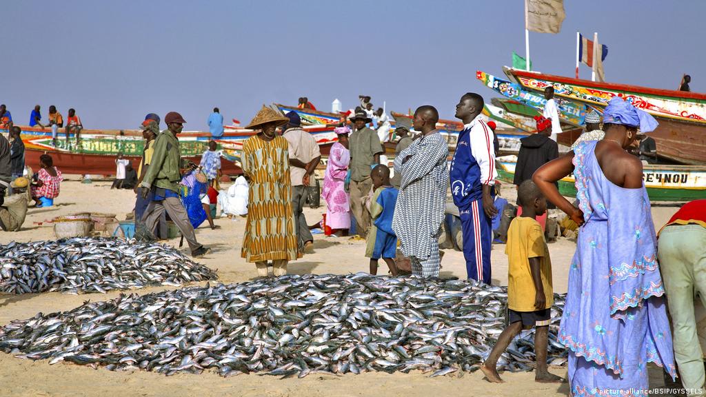 Kolda, des pêcheurs abattus  pour du poisson….